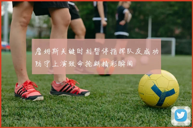 詹姆斯关键时刻暂停指挥队友成功防守上演致命抢断精彩瞬间